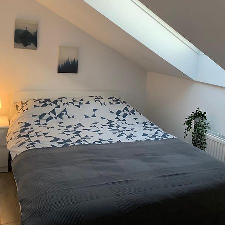 Apartmán Apartament Pod Gwiazdami Ostrów Wielkopolski Exteriér fotografie